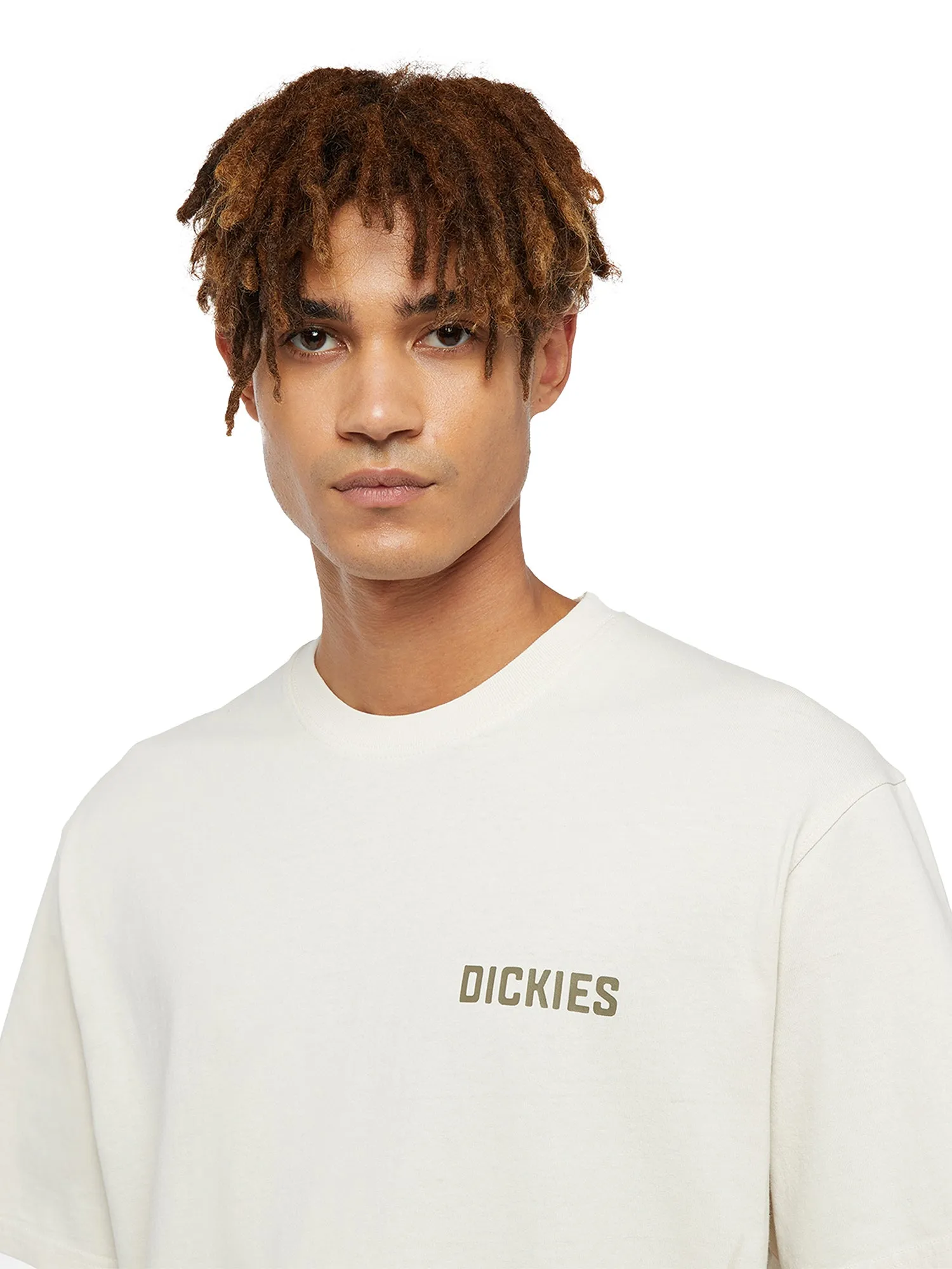 Dickies High Flying Workwear T-shirt Multicolore Uomo