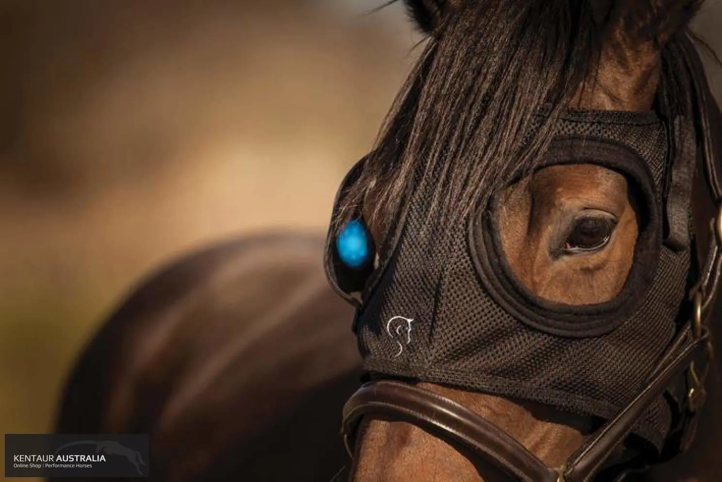 Equilume 'Belfield' Light Mask (Seasonal Breeding Light Mask)