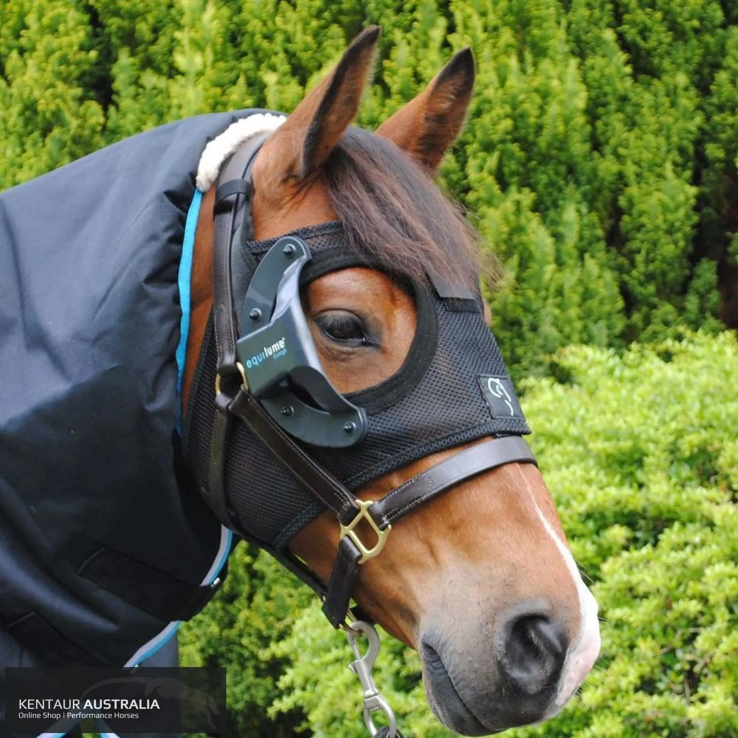 Equilume 'Belfield' Light Mask (Seasonal Breeding Light Mask)